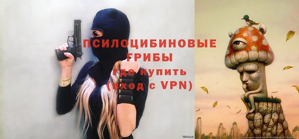 spice Верхний Тагил