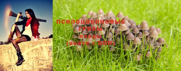 соль ск Вязники