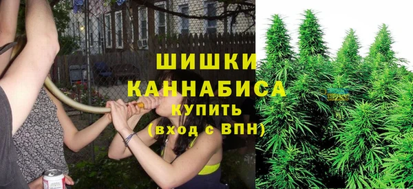 spice Верхний Тагил