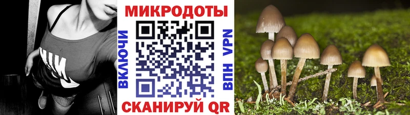 наркота Ершов Галлюциногенные грибы мухоморы